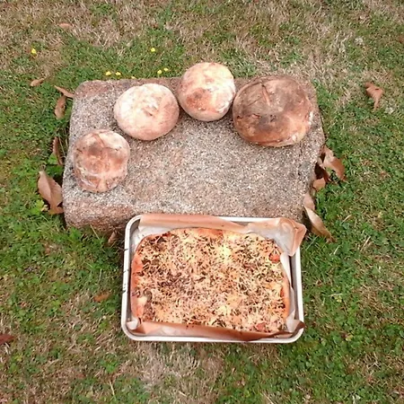 Maison De Charme Avec Jardin Et Wifi Inclus - Fr-1-497-238