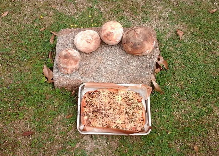 Maison De Charme Avec Jardin Et Wifi Inclus - Fr-1-497-238